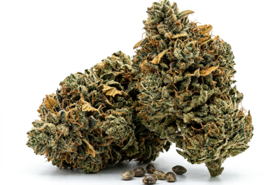 Nyc Sour Diesel cannabis seeds - product photo