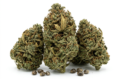 Old School Skunk cannabis seeds - product photo