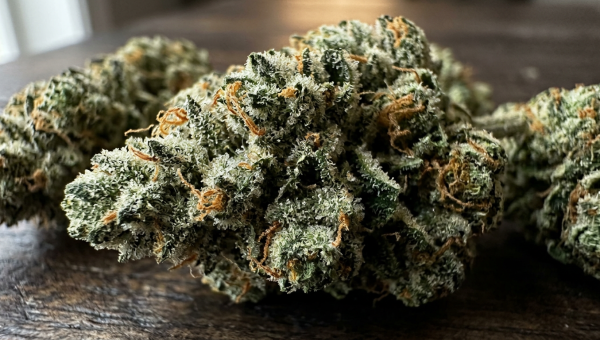 Permanent Marker cannabis buds macro close-up