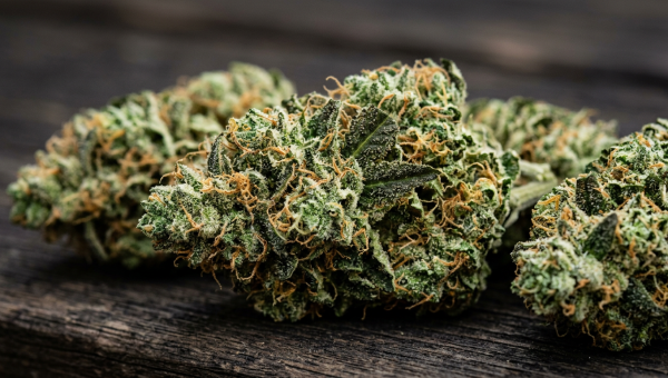 Pineapple Express cannabis buds macro close-up