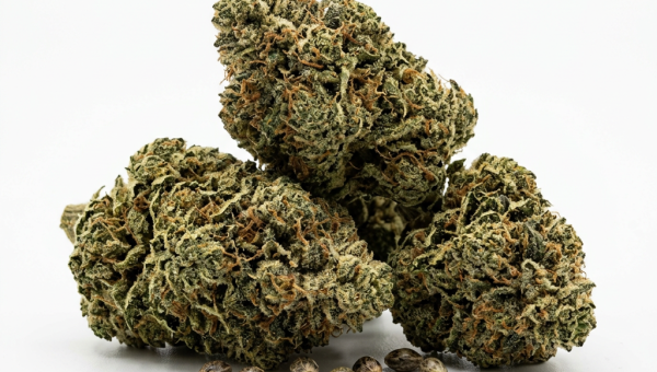 Pure Indica cannabis seeds - product photo