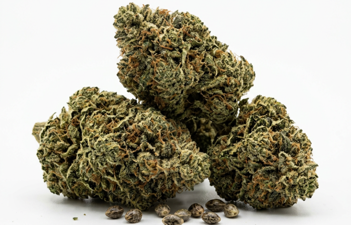 Pure Indica cannabis seeds - product photo