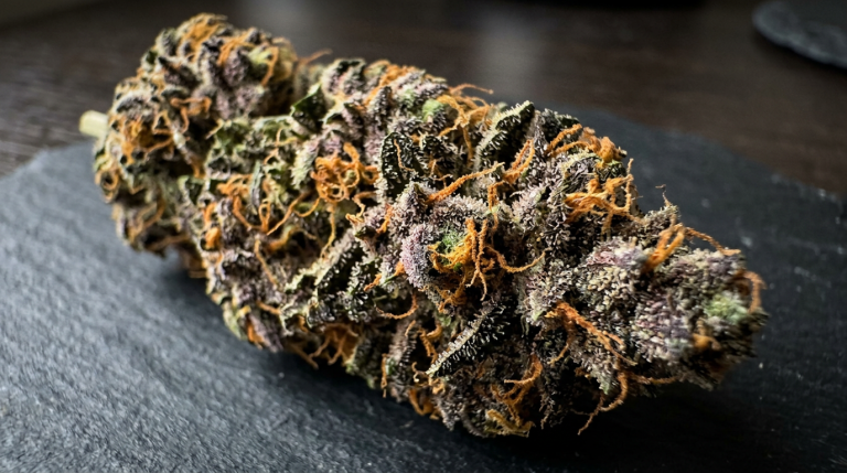 Purple Haze cannabis strain review