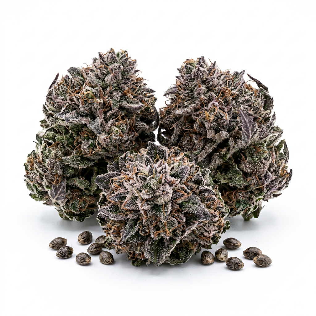 Purple Kush cannabis seeds - product photo