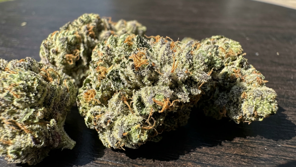 Runtz cannabis buds macro close-up