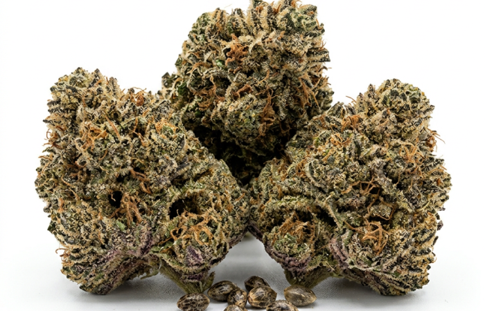 Skywalker Og cannabis seeds - product photo