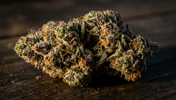 Slurricane cannabis buds macro close-up