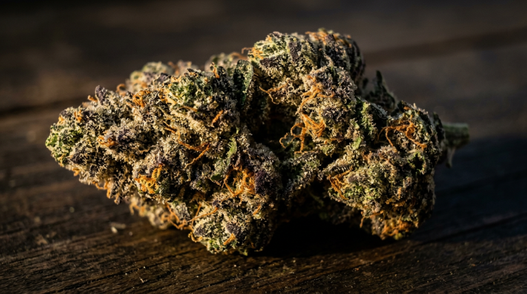 Slurricane Grower’s Notes: Dense Frost, Wild Terps, and Finicky Yields