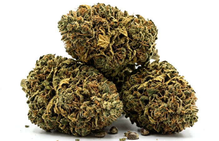 Strawberry Kush CBD cannabis seeds - product photo