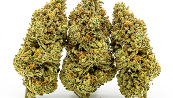 Super Lemon Haze cannabis seeds - product photo