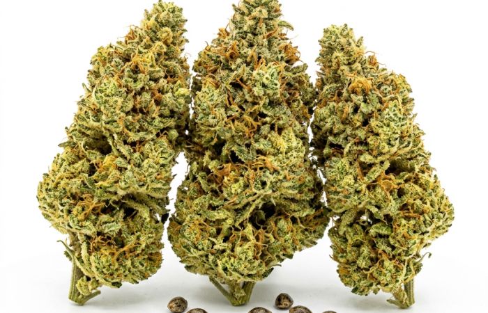 Super Lemon Haze cannabis seeds - product photo