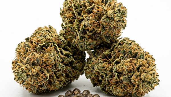 Super Skunk cannabis seeds - product photo