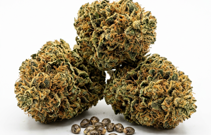 Super Skunk cannabis seeds - product photo