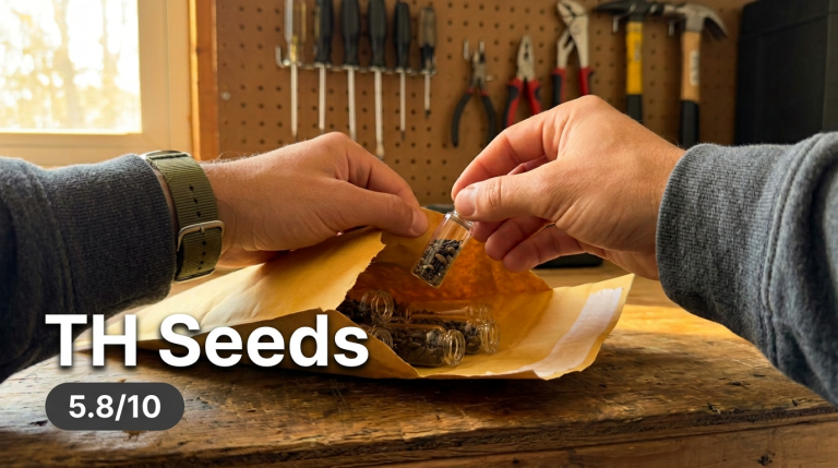 T.H.Seeds™ Review: 31 Years of Amsterdam Genetics — Does This Cannabis Cup Legend Still Deliver?