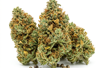 Train Wreck cannabis seeds - product photo