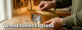 Weed Seeds Express Review - Score 5.8/10