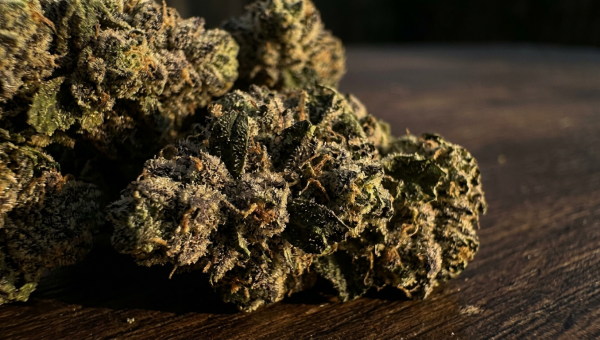 Zkittlez cannabis buds macro close-up