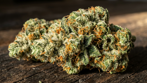 Zoap cannabis buds macro close-up