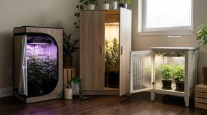 Grow Box vs. Grow Cabinet vs. DIY: The Complete Stealth Growing Buyer’s Guide for 2026