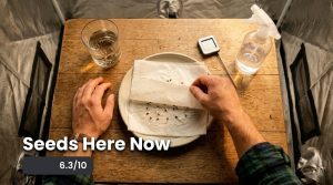 Seeds Here Now seedbank review