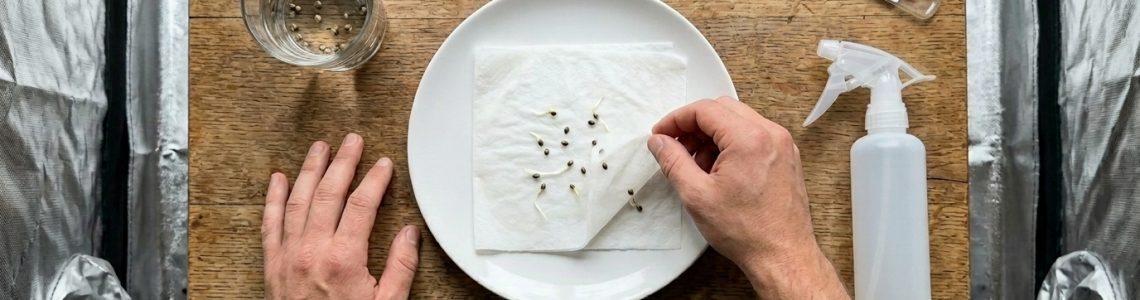 The Seed Connect Review - Score 5.9/10