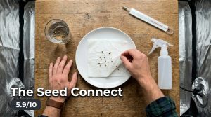 The Seed Connect (Tempe, AZ) seedbank review
