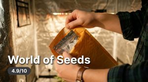 World of Seeds seedbank review