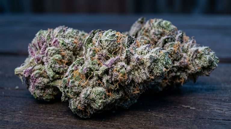 Animal Face cannabis seeds review