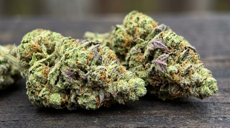 Apples And Bananas strain review