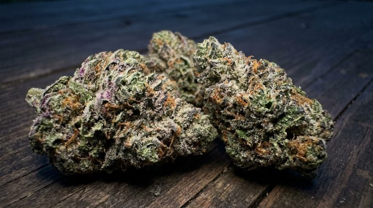 Gelato 41 cannabis strain review