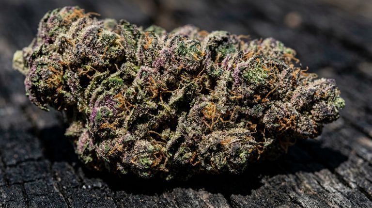 Grape Ape strain review
