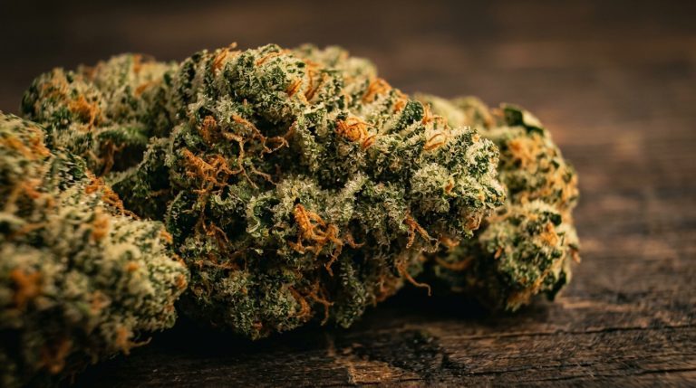 Grape Gas cannabis strain review