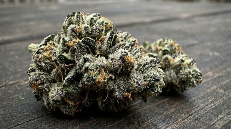 Grease Monkey strain review