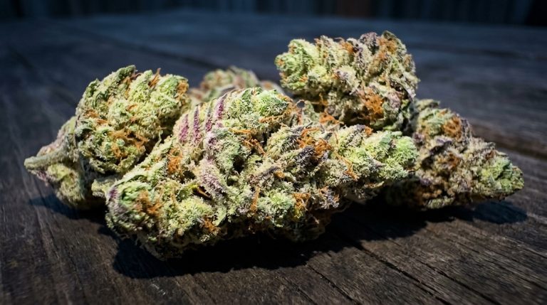 Jet Fuel strain review