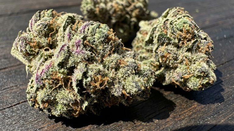 Rs11 strain review