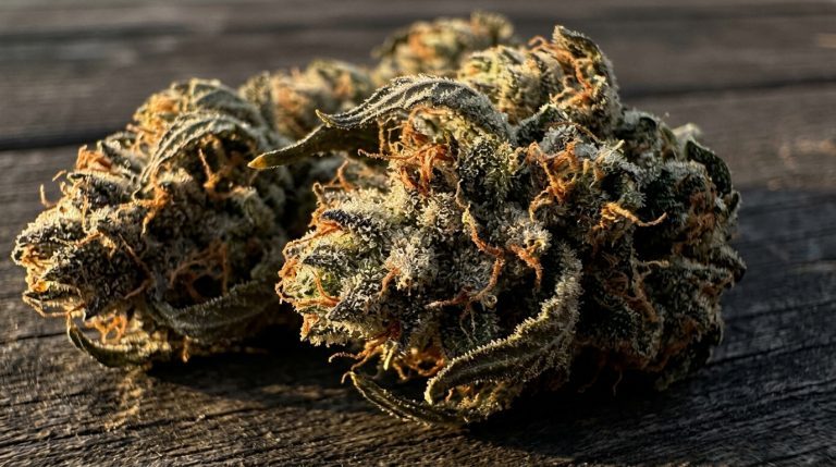 Super Boof strain review