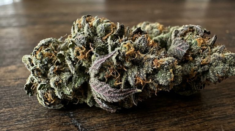 Blueberry strain review