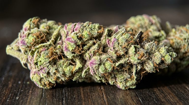 Candyland strain review