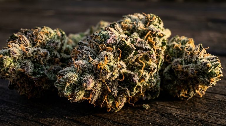 Forbidden Fruit strain review