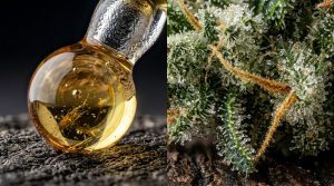 CBD