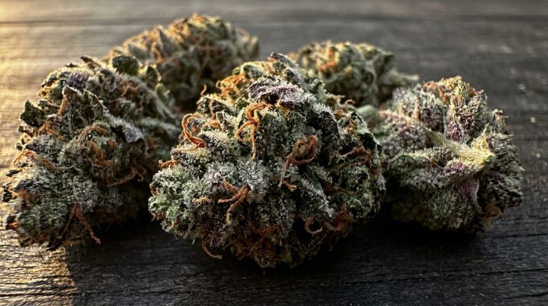 Italian Ice strain review