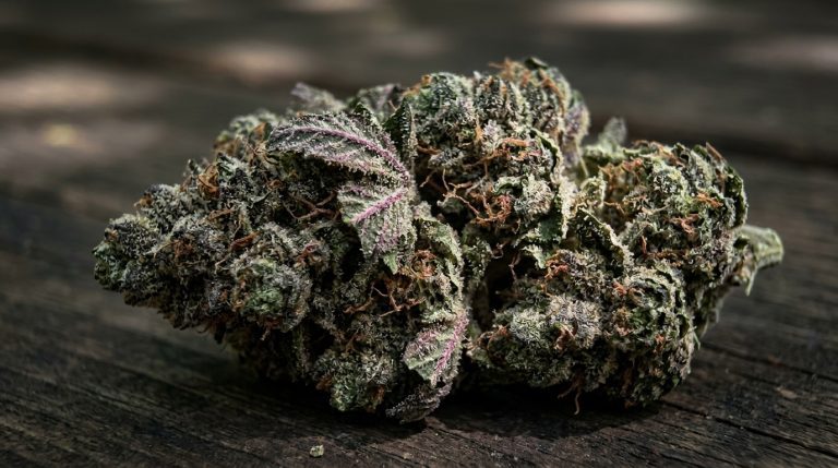 Motorbreath strain review