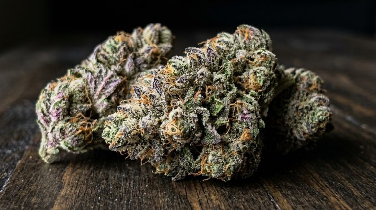 Snowball strain review
