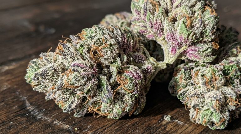 Unicorn Poop strain review
