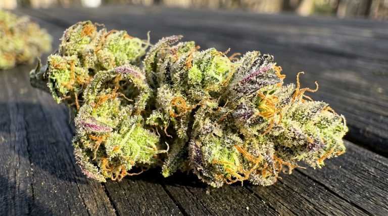 Acapulco Gold cannabis seeds review
