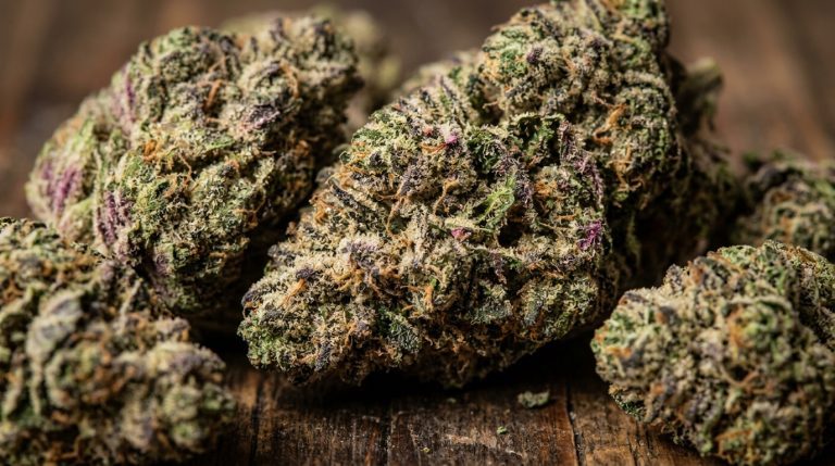 Grape Pie strain review