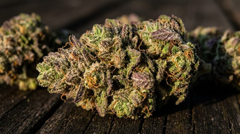 Sour Apple strain review