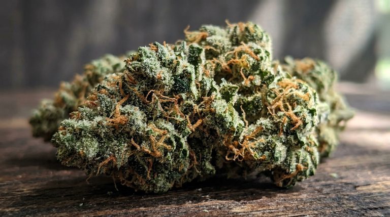 Bubblegum strain review