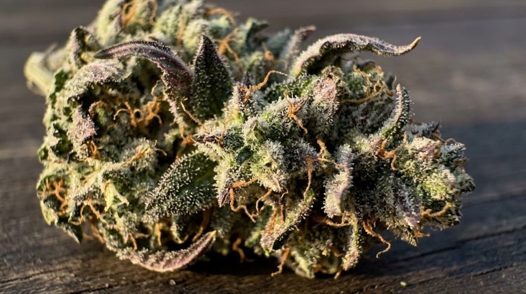 Chemdawg strain review