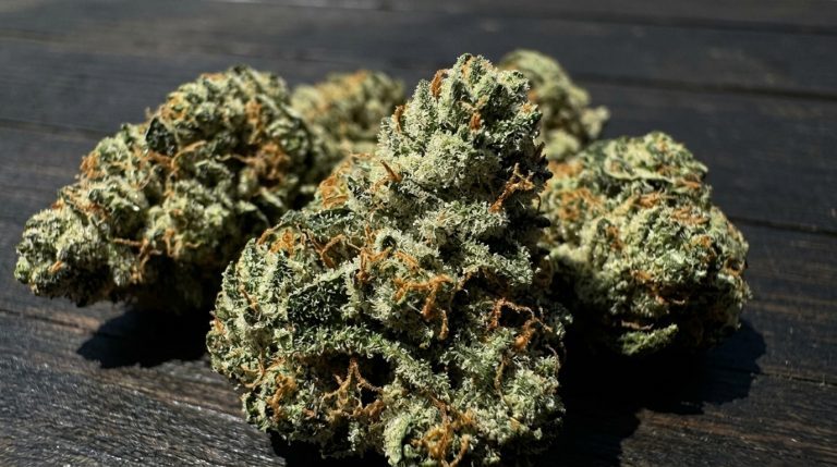 Chemdog strain review